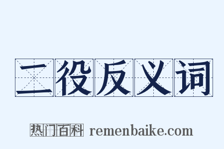 二役反义词是什么意思的图片